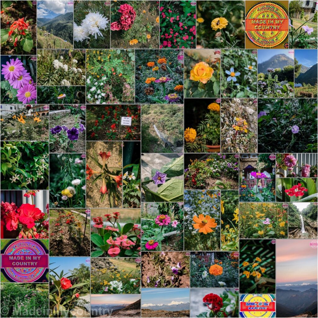 MadeinMycountry Nepal, home of Everest, the eternal "guardian" of the Himalayas, birthplace of Buddha. MadeinMycountry is a global platform that celebrates and supports local history, culture, art, and nature conservation efforts.